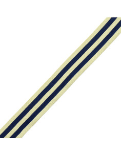 Metallische Galonstreifen - Marineblau und Gold 2