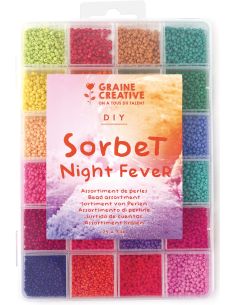Set mit 24 Farben von 2 mm Rocailles-Perlen - Sorbet Night Fever