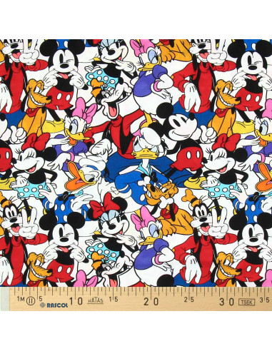 Disney-Jersey-Stoff - Micky und seine Freunde
