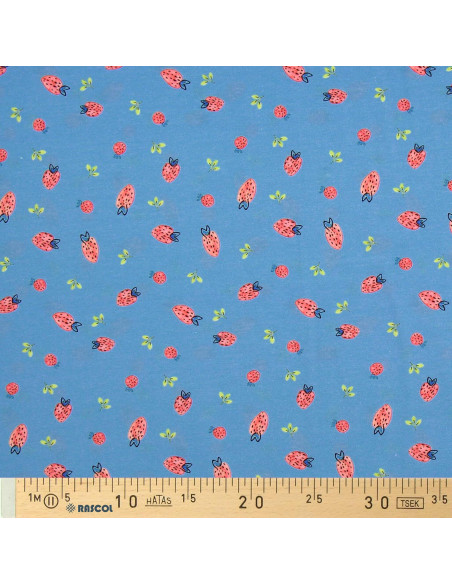 Jersey-Stoff Erdbeeren - Hellblau