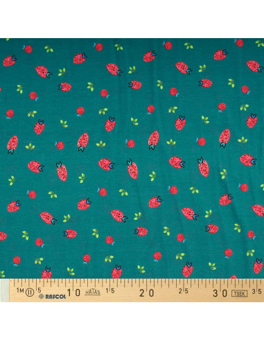 Jersey-Stoff Erdbeeren - Entengrün
