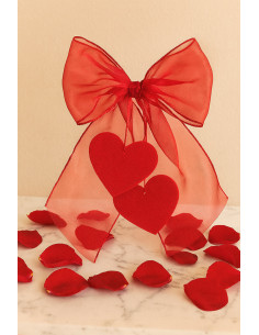 Organza-Stoff - Rot 2