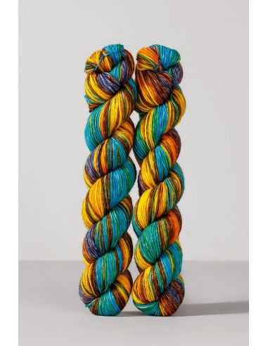 Set aus 2 Strängen Sockenwolle Echoes Fingering Gusto Wool