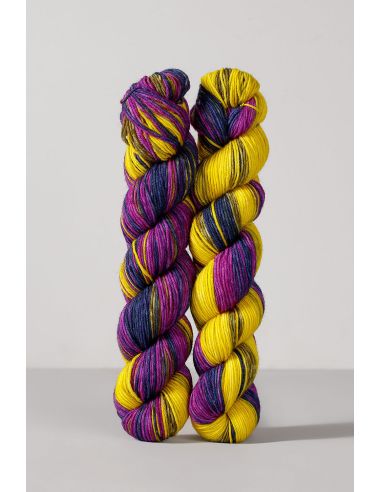 Set aus 2 Strängen Sockenwolle Echoes Fingering Gusto Wool