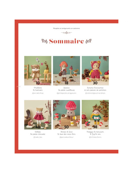 Buch Puppen & Amigurumis im Herbst