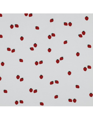 Jersey-Stoff Erdbeeren - Weißer Hintergrund