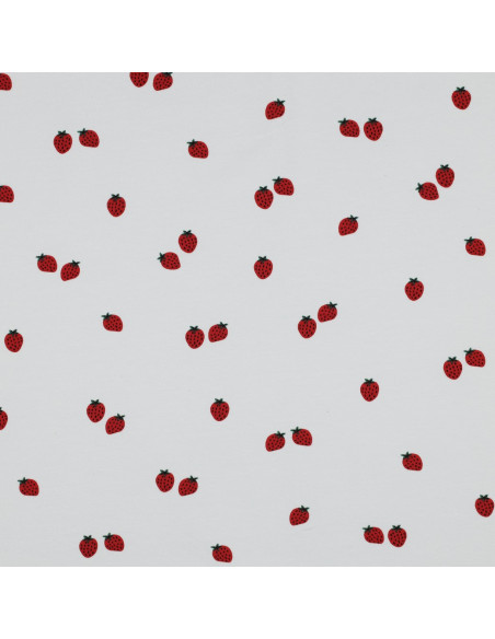 Jersey-Stoff Erdbeeren - Weißer Hintergrund
