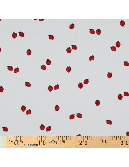 Jersey-Stoff Erdbeeren - Weißer Hintergrund