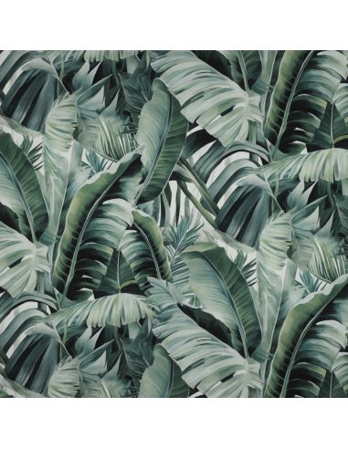 Baumwoll-Canvas - Tropisch