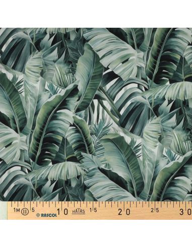 Baumwoll-Canvas - Tropisch