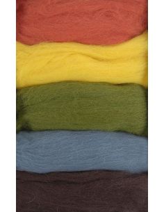 Pack mit 5 kardierten Filzwollen DMC - Herbst 2