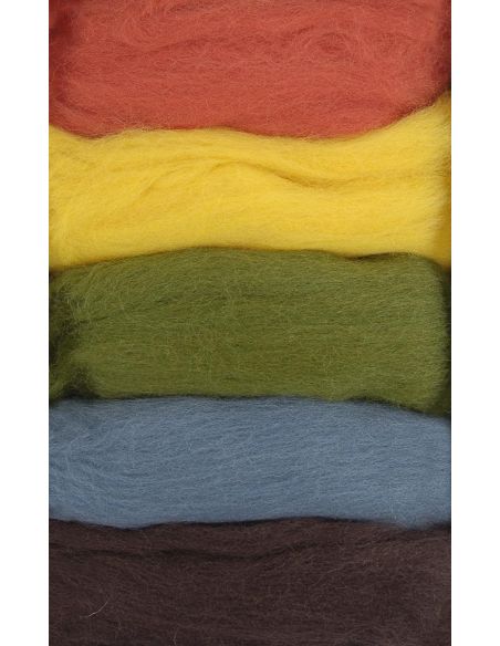 Pack mit 5 kardierten Filzwollen DMC - Herbst