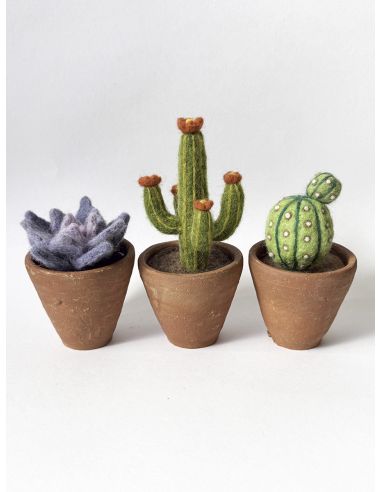 Pack mit 5 kardierten Filzwollen DMC - Bouquet