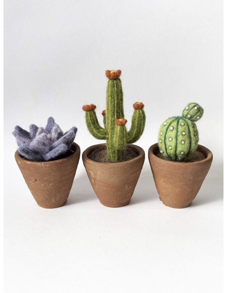 Pack mit 5 kardierten Filzwollen DMC - Bouquet