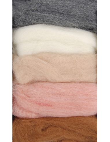 Pack mit 5 kardierten Filzwollen DMC - Seashell