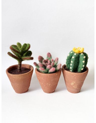 Pack mit 5 kardierten Filzwollen DMC - Frühling