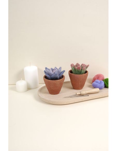 DMC Filzkatalog - Kakteen und Sukkulenten