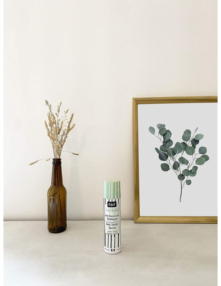 Antistatisches Spray AntiStatic
