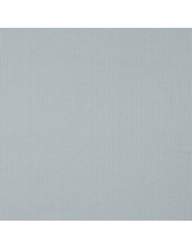 Fein gerippter Baumwolljersey-Stoff - Silbergrau