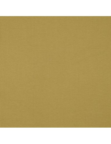 Fein gerippter Baumwolljersey-Stoff - Ocker