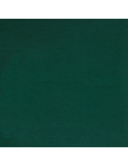 Tencel Modal Jersey Stoff - Grün