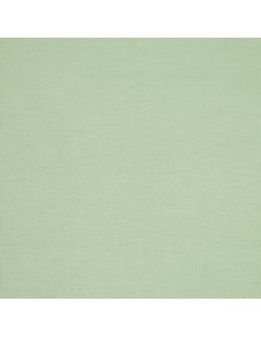 Tencel Modal Jersey Stoff - Minzgrün