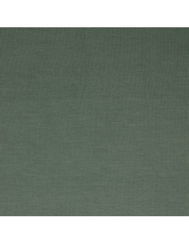 Tencel Modal Jersey Stoff - Farn Grün