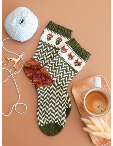 Buch der Leitfaden für Jacquard-Stricksocken