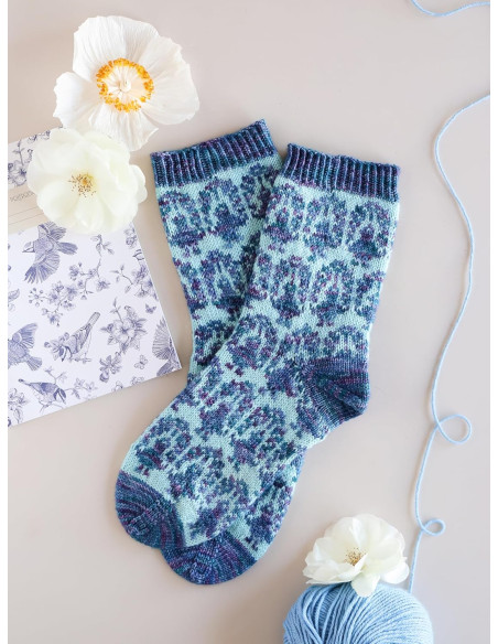 Buch der Leitfaden für Jacquard-Stricksocken