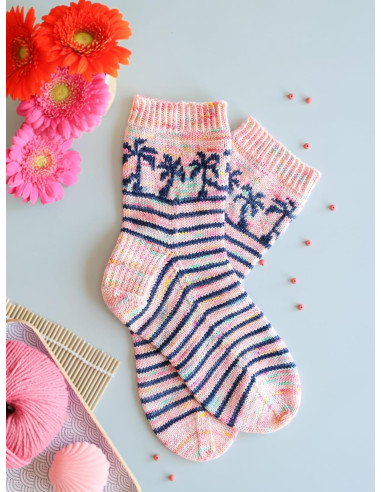 Buch der Leitfaden für Jacquard-Stricksocken