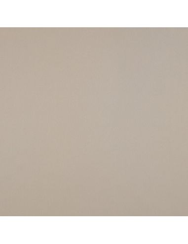 Mikrosatin-Stoff mit Seidentouch - Sandfarben