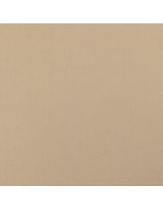 Scuba-Stoff mit Pfirsichhaut-Effekt - Beige 2