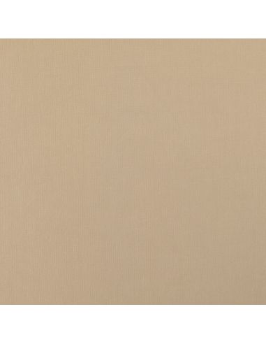 Scuba-Stoff mit Pfirsichhaut-Effekt - Beige