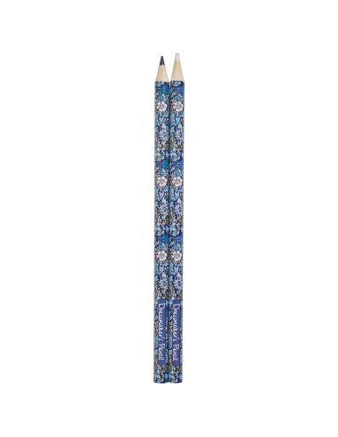 Schwarze und weiße Kreide - Sammlung blaue Blumen