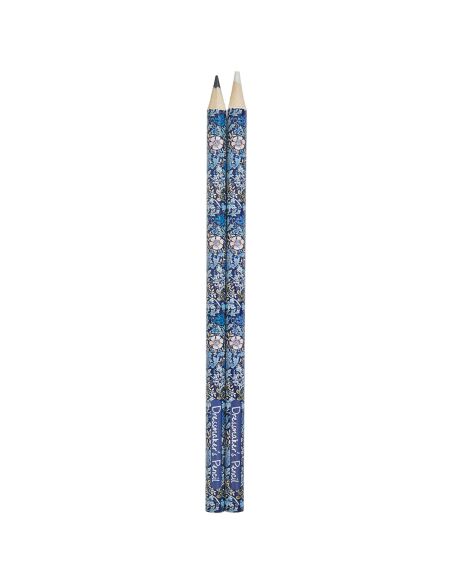 Schwarze und weiße Kreide - Sammlung blaue Blumen