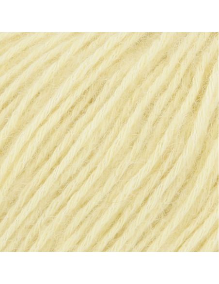 Regina Wolle Lang Yarns