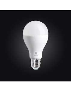 Tageslicht-LED-Glühbirne - 19 Watt mit Schraubgewinde