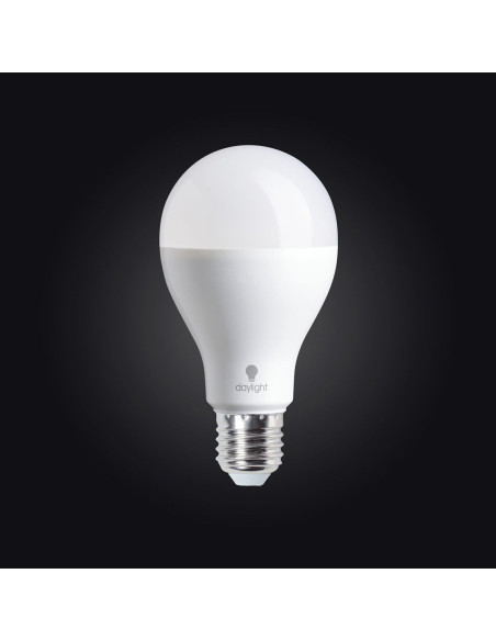 Tageslicht-LED-Glühbirne - 19 Watt mit Schraubgewinde