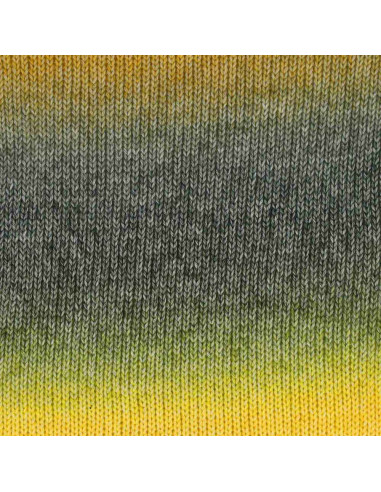 Laine Scheepjes Stone Washed Flow