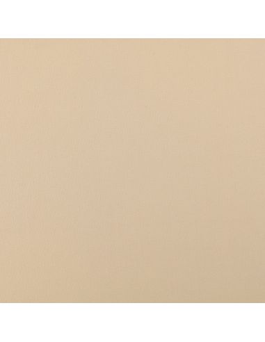 Scuba-Stoff mit Pfirsichhaut-Effekt - Beige